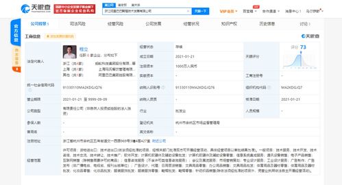 信息系統集成服務 構建高效協同的數字生態
